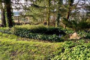 Schönes Ein-/Zweifamilienhaus in idyllischer Wohnlage ! – Vogtlandkreis – Vorschaubild 12