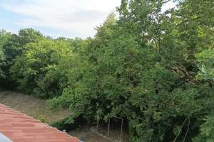 Eigentumswohnung in Heide Süd – 6120 Heide-Süd, Halle (Saale) – Vorschaubild 11