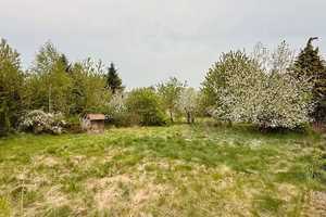 * * Blick auf die Burg Ziesar * * Wohnhaus * Innenhof * großes Gartengrundstück am Fließ * – Potsdam-Mittelmark (Kreis) – Vorschaubild 24