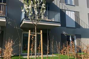 Geschmackvolle möblierte Erdgeschosswohnung mit drei Zimmern sowie Terasse/Garten/EBK in Hannover – Hebbelstraße 34, 30177 List, Hannover – Vorschaubild 11