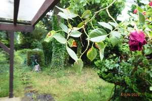 + Freistehendes Haus mit Ausbaureserven in beliebter Lage Arheilgen mit großem Garten und Garagen + – Die vollständige Adresse der Immobilie erhältst du vom Anbieter., 64289 Arheilgen, Darmstadt – Vorschaubild 11