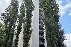 Willkommen in Ihrer frisch modernisierten Familien-Wohnung mit Balkon-Weitblick, Wannenbad, Gäste-WC – Friedensstraße 114a, 51145 Urbach, Köln – Vorschaubild 32