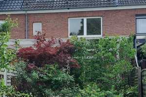 Familien aufgepasst- Reihenhaus im Herzen von St. Tönis – Viersen (Kreis) – Vorschaubild 2