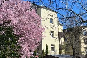 * Kleine gemütliche Balkonwohnung - ID 6398 * – Roquettestr. 37, 1157 Dresden – Vorschaubild 1