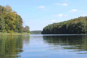 Property thumbnail 43