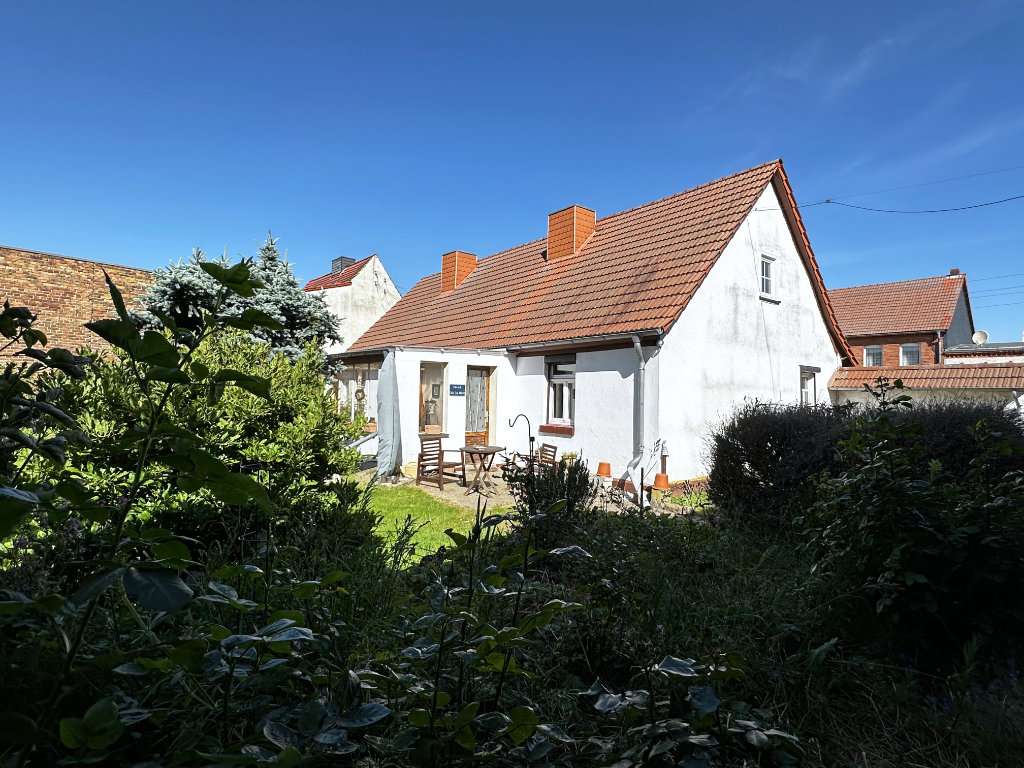 Immobilie in Gardelegen - Einfamilienhaus mit traumhaftem Grundstück in Trüstedt - Bild 3