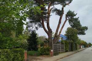 Vorstadt Villa mit Potential in bester Lage – Theodor-Storm-Straße 1c, 24558 Segeberg (Kreis) – Vorschaubild 6