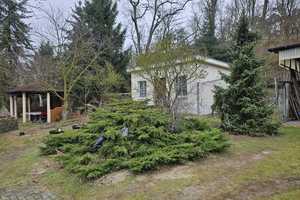 Einfamilienhaus zwischen Wald und Wasser – Potsdam-Mittelmark (Kreis) – Vorschaubild 12