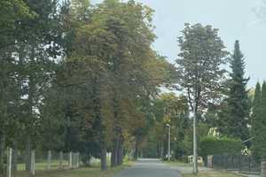 Architektonischer Lifestyle auf einer Ebene – Nordsachsen (Kreis) – Vorschaubild 4