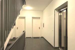 Großzügige 3-Zimmer-Wohnung nahe Schlachtensee zum Verkauf – Matterhornstraße 46, 14129 Zehlendorf, Berlin – Vorschaubild 6