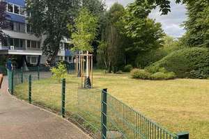 Topp sanierte 4 Zi.-EG-Wohnung in gepflegtem MFH Nähe Mathildenschule – Die vollständige Adresse der Immobilie erhältst du vom Anbieter., 63065 Mathildenschule, Offenbach am Main – Vorschaubild 12