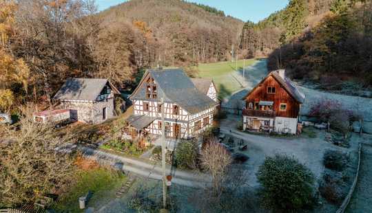 Bild von Mühlenanwesen mit Nebengebäude in idyllischer Alleinlage Nähe St. Goarshausen zum Kauf!