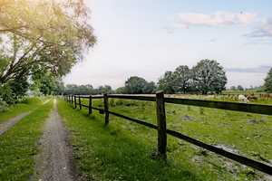 Bauernhaus-Liegenschaft mit vorzüglicher Qualität in Worpsweder Landlage – Osterholz (Kreis) – Vorschaubild 3