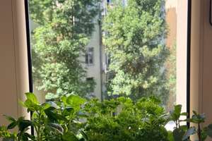 Befristet: Sonnige kernsanierte Altbauwohnung im schönsten Eppendorf – Hegestrasse 11, 20251 Hoheluft-Ost, Hamburg – Vorschaubild 12