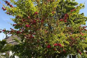 Property thumbnail 18