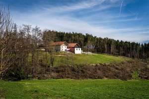Wo Ruhe auf Natur trifft – charmantes Landhaus mit Pferdestall, Fischweiher und 3,6 Hektar – Die vollständige Adresse der Immobilie erhältst du vom Anbieter., 94575 Windorf – Vorschaubild 4
