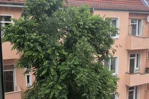 Property thumbnail 17