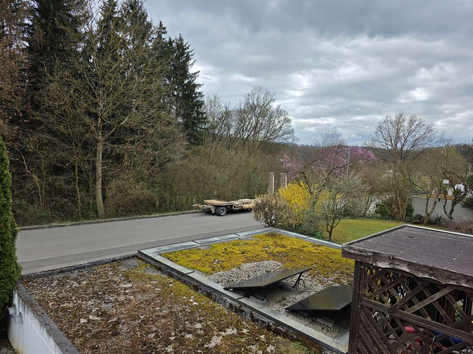 Ausblick
