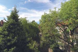 Griechenmarktviertel: Urban wohnen; Viel Raum für Alltag & Rückzug;Stadtleben vor der Tür, DG-ETW... – 50676 Altstadt/Süd, Köln – Vorschaubild 4