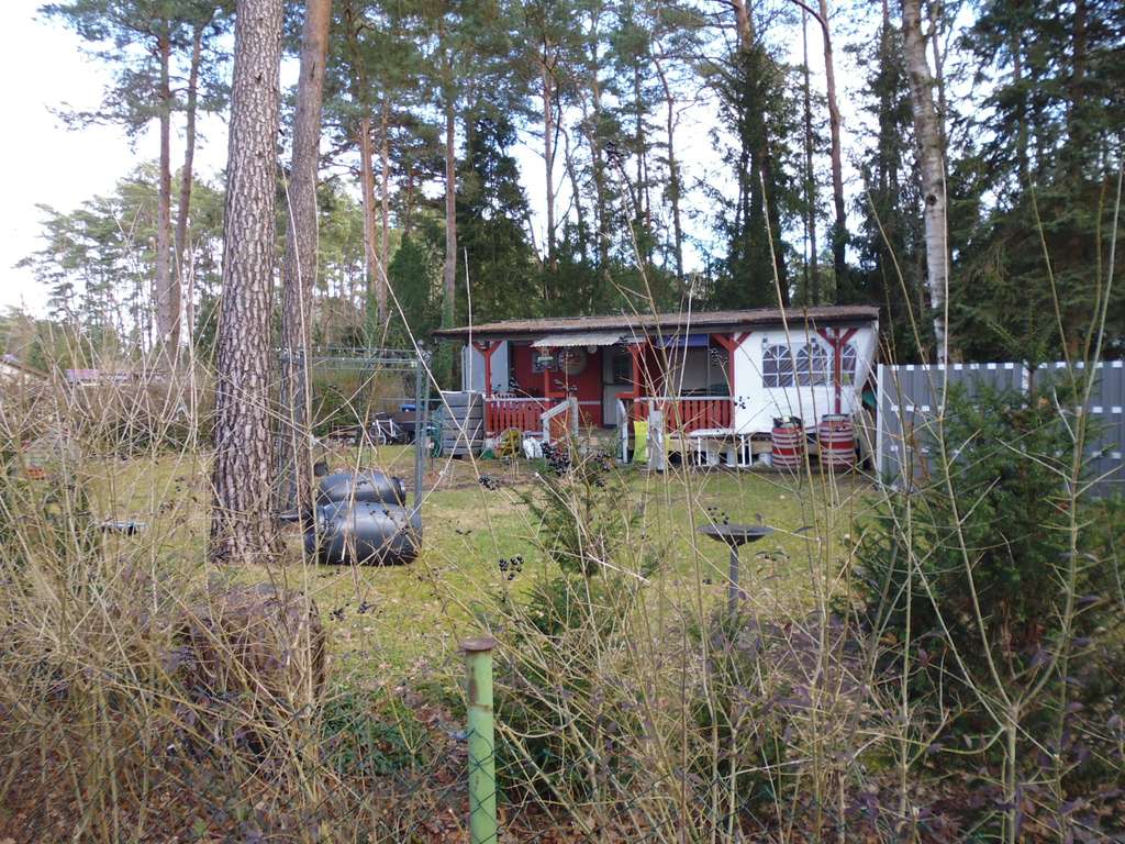 Immobilie in Wendisch Rietz - Grundstück mit Bungalow und vorhandenem Bebauungsplan - Bild 3