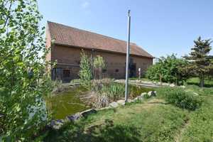 Gemütliches Einfamilienhaus mit großer Scheune, Pool + Garage... – Börde (Kreis) – Vorschaubild 4