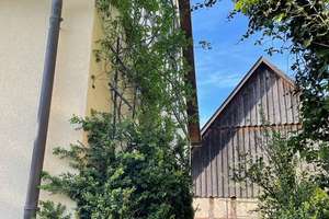 Gepflegtes Fachwerkhaus mit 5 Zimmern in Maroldsweisach OT Eckartshausen – Am Kirchberg 2, 96126 Maroldsweisach – Vorschaubild 8