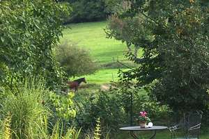 Naturklang – Die vollständige Adresse der Immobilie erhältst du vom Anbieter., 64658 Fürth – Vorschaubild 4
