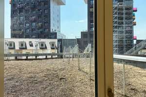 Im Herzen Franklins / Die Grüne Mitte (Nr. 6) – 68309 Käfertal, Mannheim – Vorschaubild 13