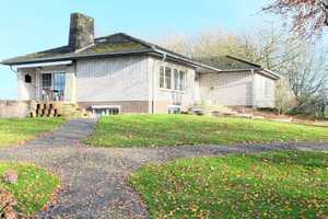 Bungalow auf 10.375 qm großem Grundstück mitten in der Natur an der niederländischen Grenze – Kleve (Kreis) – Vorschaubild 5