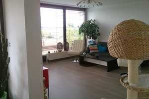 Trier-Süd: Einzigartige 4 ZKB-Maisonettewohnung mit Balkon und ca. 150 m² WFL im beliebten Stadtteil – Flomersheimer Str. 36, 54290 Trier – Vorschaubild 11