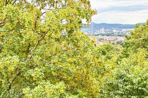 3-Raum-Wohnung mit guter Anbindung, herrlichem Ausblick und günstigem Preis (Kaufpreisfaktor 18,62!) – Die vollständige Adresse der Immobilie erhältst du vom Anbieter., 7743 Jena-Nord, Jena – Vorschaubild 4
