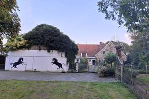 Tiere Willkommen! Der" Martinshof" 2.0 - Ein Anwesen im Landhausstil am Heiligen Meer in Hopsten ! – Die vollständige Adresse der Immobilie erhältst du vom Anbieter., 48496 Hopsten – Vorschaubild 6