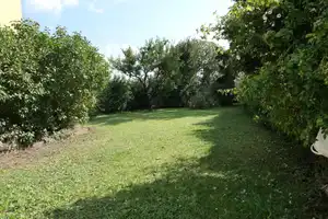 Kleineres Einfamilienhaus (DHH), herrlich großer Garten - evtl. Anbau möglich – Main-Taunus-Kreis – Vorschaubild 3