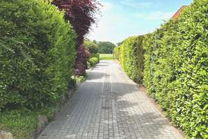 Sehr gepflegtes EFH mit Doppelgarage, liebevoll angelegtem Garten in familienfreundlicher Wohnlage – Die vollständige Adresse der Immobilie erhältst du vom Anbieter., 28779 Lüssum-Bockhorn, Bremen – Vorschaubild 12