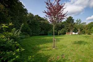 Freistehendes 7-Raum-Einfamilienhaus mit Carport auf großem Grundstück in Bochum Weitmar – Die vollständige Adresse der Immobilie erhältst du vom Anbieter., 44795 Eppendorf, Bochum – Vorschaubild 14