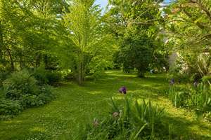 Großzügiges Wohnen in exklusivem Ambiente mit traumhafter Gartenidylle – Die vollständige Adresse der Immobilie erhältst du vom Anbieter., 64342 Seeheim-Jugenheim – Vorschaubild 18