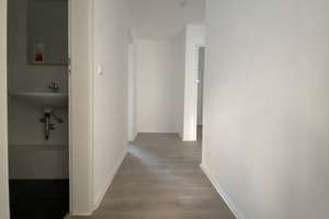 Sonnige 3,5 Zimmer Wohnung mit Balkon und guter Raumaufteilung in Frohnhausen – Frohnhauser Str 419, 45144 Frohnhausen, Essen – Vorschaubild 4
