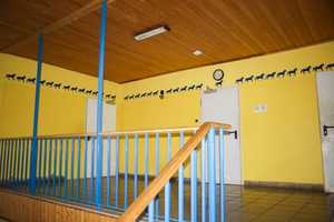 Mehrfamilienhaus, Mehrgenerationenhaus mit großem Grundstück – Zöthen 20, 7774 Saale-Holzland-Kreis – Vorschaubild 14