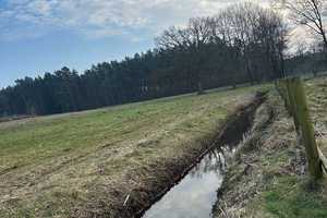Eine Perle in der Lüneburger Heide-Anwesen mit vielfältigen Möglichkeiten – Heidekreis – Vorschaubild 8