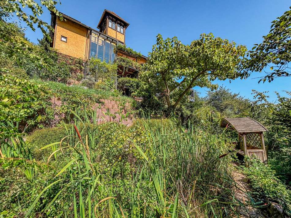 Garten mit Blick zum Haus