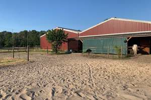 Pferdeimmobilie im Wendland-Neuwertiges Wohnhaus, Reithalle, Stallungen & ca. 3 ha Land in Prezelle – Die vollständige Adresse der Immobilie erhältst du vom Anbieter., 29491 Prezelle – Vorschaubild 7