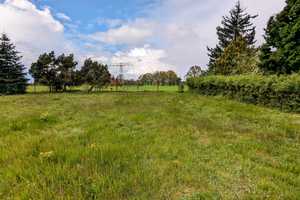NEUER PREIS - 4 Seiten Hof in Neu-Seeland am Sedlitzer See – Oberspreewald-Lausitz (Kreis) – Vorschaubild 2