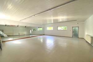 Aussergewöhnliches Anwesen mit Familienhaus, Garten, Garage, Schuppen und Sportstudio! – 67063 Friesenheim, Ludwigshafen am Rhein – Vorschaubild 48