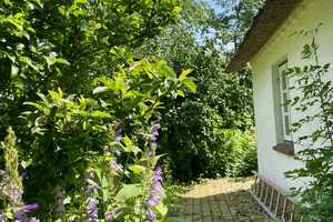 Friesenhaus auf dem Deich – Dingsbülldeich 3, 25840 Nordfriesland (Kreis) – Vorschaubild 11