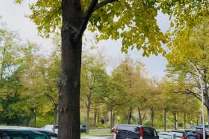 Property thumbnail 25