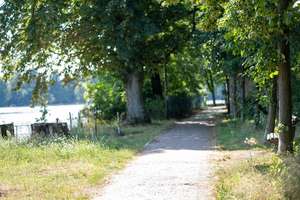 Perfektes zu Hause für die ganze Familie mit Einliegerwohnung - direkt am Wald – Die vollständige Adresse der Immobilie erhältst du vom Anbieter., 13505 Konradshöhe, Berlin – Vorschaubild 20