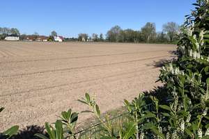 Traumhaftes Wohnen am Feldrand – Walmdach Bungalow mit moderner Ausstattung – Die vollständige Adresse der Immobilie erhältst du vom Anbieter., 49774 Lähden – Vorschaubild 25