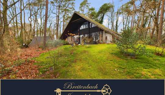 Bild von Schwanewede - Meyenburg • Einzigartiges Architektenhaus in idyllischer Lage