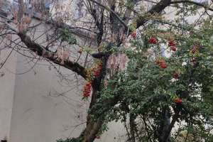 Property thumbnail 11