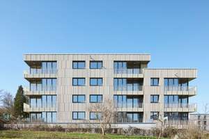 Penthouse 2-Zimmer Wohnung im Rodgebiet